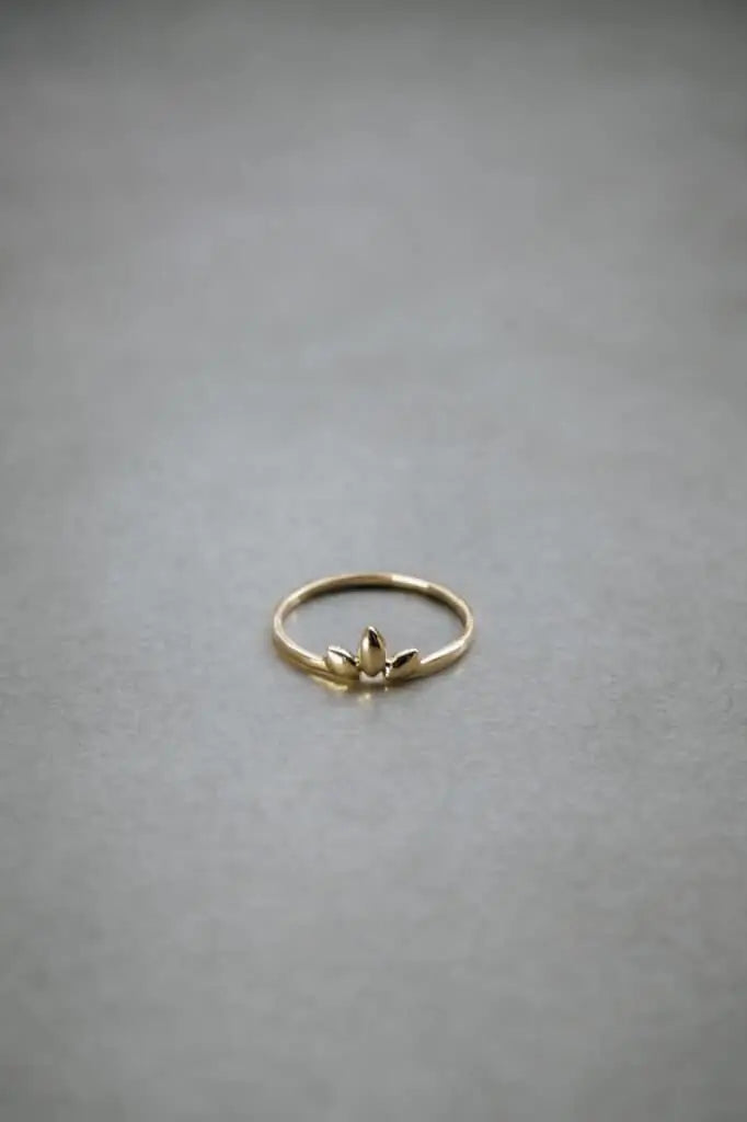 Ring Paudha Messing